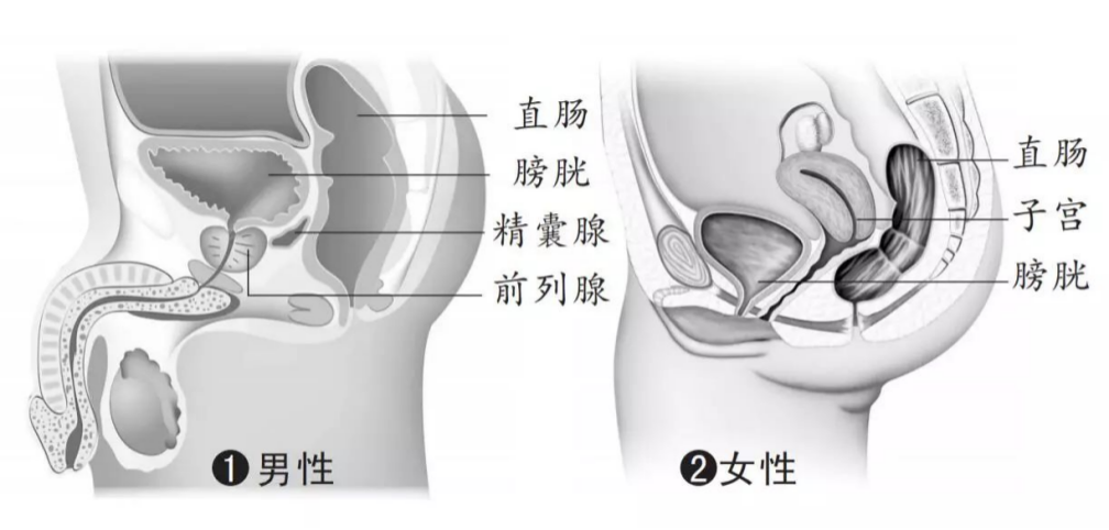 直肠癌预防|一个动作竟能摸出80%的直肠癌！不愧是医生们眼中的“一指禅功”